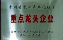 u8d35u5ddeu7701u7701u7ea7u9f99u5934u4f01u4e1au724cu5b50.jpg