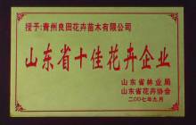 u5c71u4e1cu7701u5341u4f73u82b1u5349u4f01u4e1a.jpg