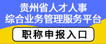 贵州省人才人事综合业务管理服务平台-职称申报入口